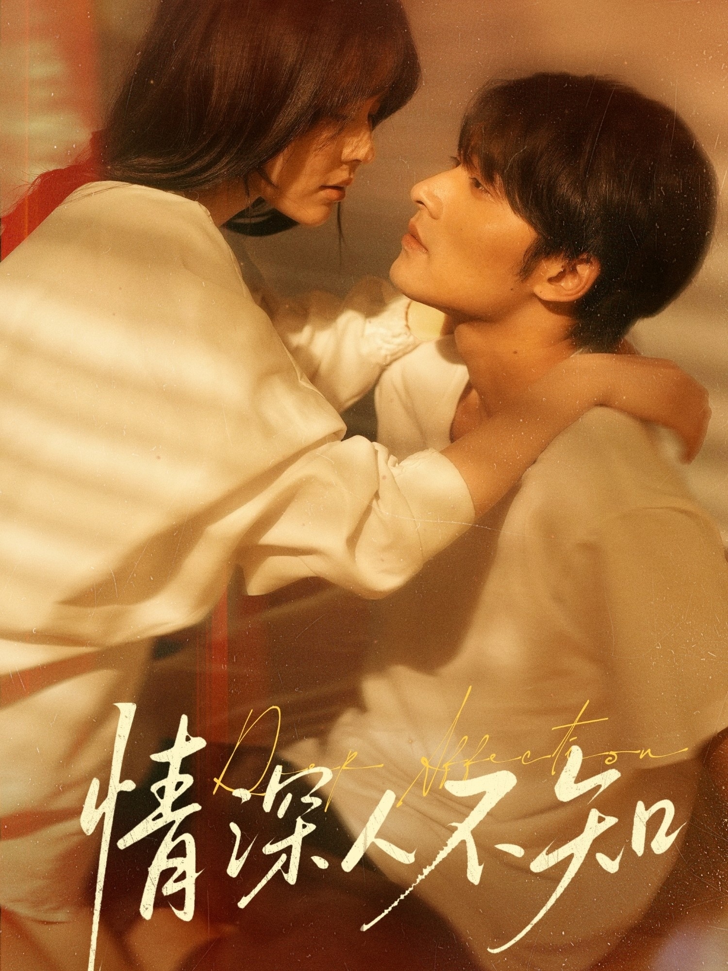 情深人不知(全集)